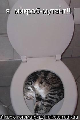 Котоматрица: я  микроб-мутант!!