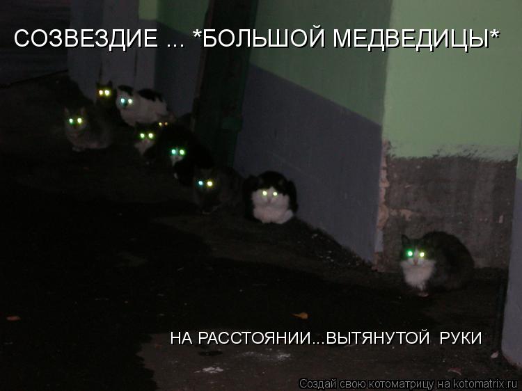 СОЗВЕЗДИЕ ... *БОЛЬШОЙ МЕДВЕДИЦЫ* НА РАССТОЯНИИ...ВЫТЯНУТОЙ РУКИ... Котоматрица: СОЗВЕЗДИЕ ... *БОЛЬШОЙ МЕДВЕДИЦЫ* НА РАССТОЯНИИ...ВЫТЯНУТОЙ РУКИ