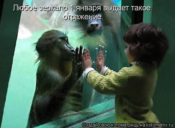 Котоматрица: Любое зеркало 1 января выдает такое отражение.
