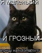 Котоматрица: Я маленький   И ГРОЗНЫЙ