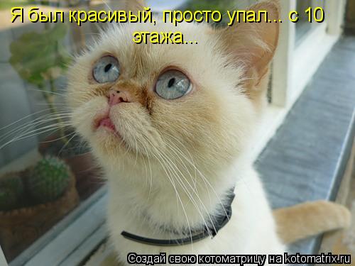 Я был красивый, просто упал... с 10 этажа...... Котоматрица: Я был красивый, просто упал... с 10 этажа...