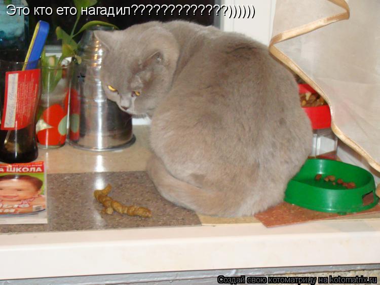 Котоматрица: Это кто ето нагадил?????????????))))))