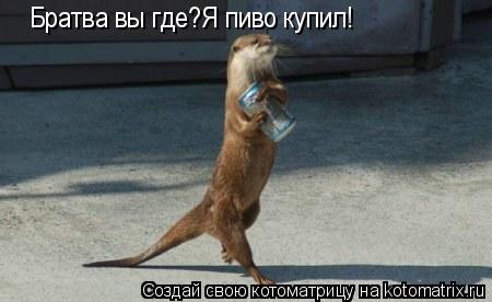 Котоматрица: Братва вы где?Я пиво купил!