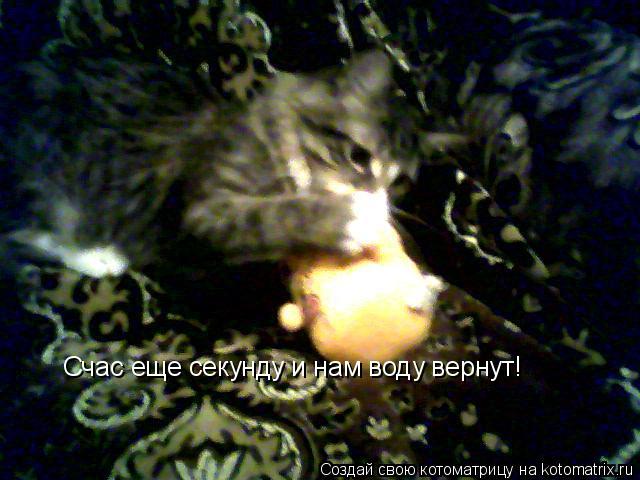 Счас еще секунду и нам воду вернут!... Котоматрица: Счас еще секунду и нам воду вернут!