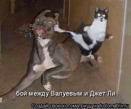 бой между Валуевым и Джет Ли бой между Валуевым и Джет Ли... Котоматрица: бой между Валуевым и Джет Ли бой между Валуевым и Джет Ли