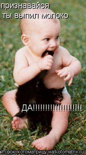 Котоматрица: признавайся   ты выпил молоко  ДА!!!!!!!!!!!!!!!!!!!!