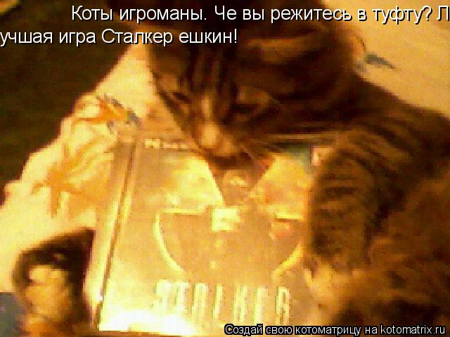 Коты игроманы. Че вы режитесь в туфту? Лучшая игра года сталкер ешкин! учшая игра Сталкер ешкин!... Котоматрица: Коты игроманы. Че вы режитесь в туфту? Лучшая игра года сталкер ешкин! учшая игра Сталкер ешкин!