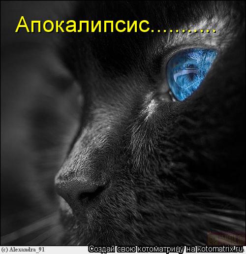 Апокалипсис.............. Котоматрица: Апокалипсис...........