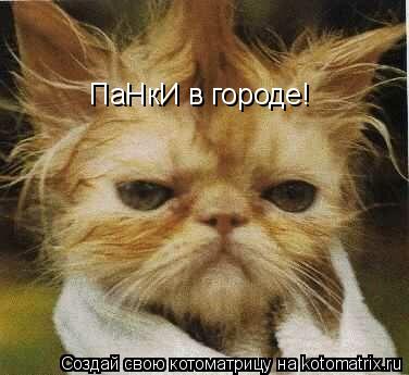 Котоматрица: ПаНкИ в городе!