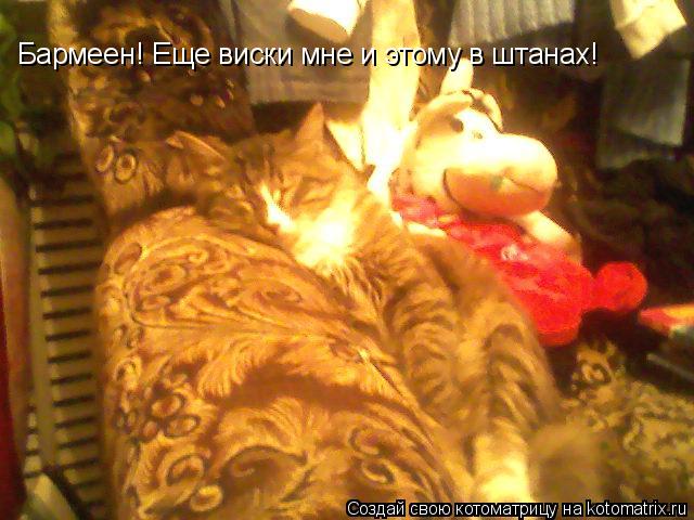 Бармеен! Еще виски мне и этому в штанах!... Котоматрица: Бармеен! Еще виски мне и этому в штанах!