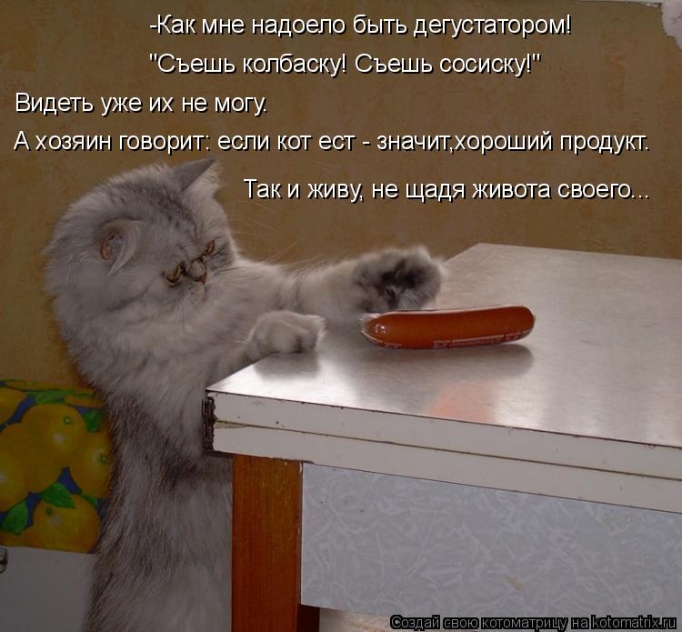 Котоматрица: -Как мне надоело быть дегустатором! "Съешь колбаску! Съешь сосиску!"  Видеть уже их не могу.  А хозяин говорит: если кот ест - значит,хороший пр