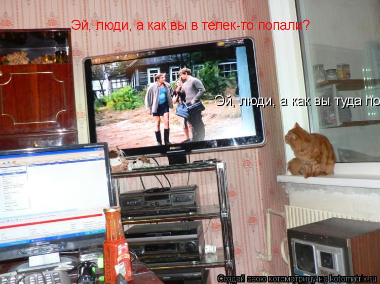 Котоматрица: Эй, люди, а как вы туда попали? Эй, люди, а как вы в телек-то попали?