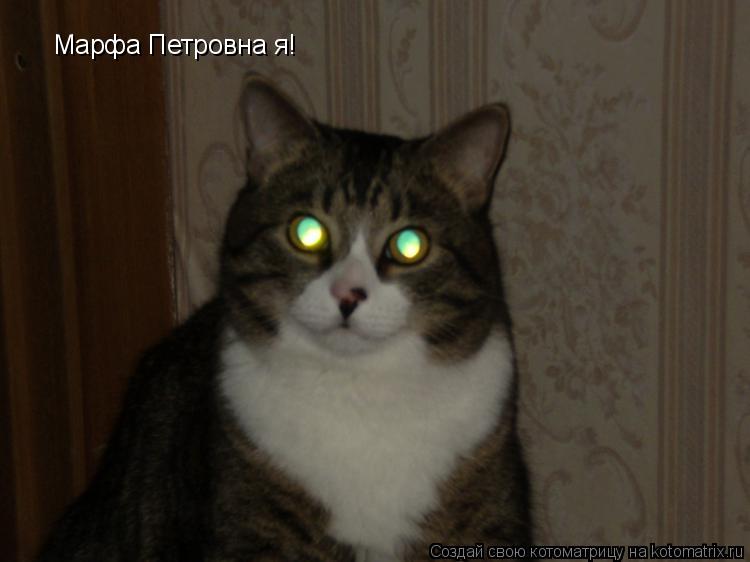Марфа Петровна я!... Котоматрица: Марфа Петровна я!