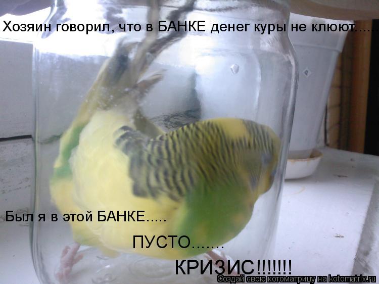 Хозяин говорил, что в БАНКЕ денег куры не клюют...... Был я в этой БАНКЕ..... ПУСТО....... КРИЗИС!!!!... Котоматрица: Хозяин говорил, что в БАНКЕ денег куры не клюют...... Был я в этой БАНКЕ..... ПУСТО....... КРИЗИС!!!!!!!