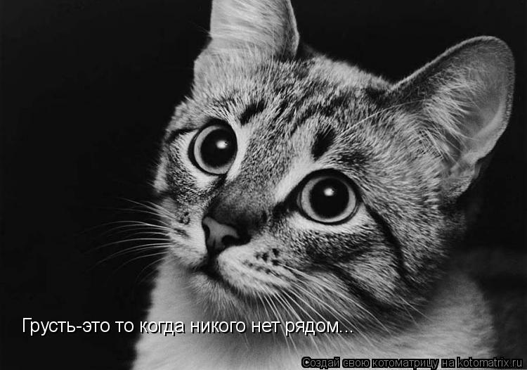 Грусть-это то когда никого нет рядом...... Котоматрица: Грусть-это то когда никого нет рядом...