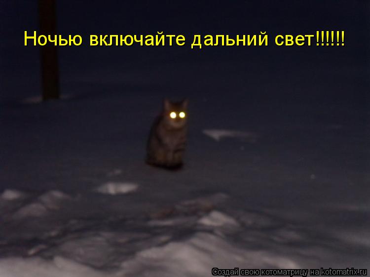 Ночью включайте дальний свет!!!!!!... Котоматрица: Ночью включайте дальний свет!!!!!!