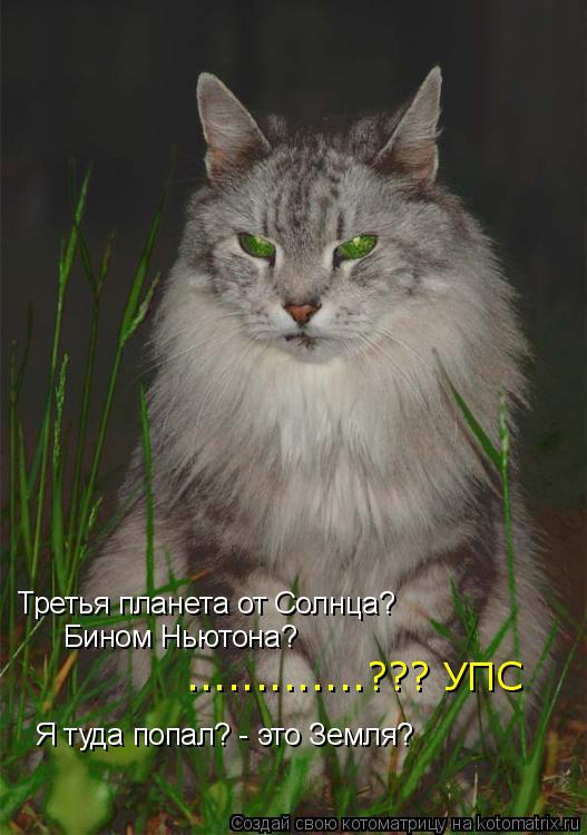 Котоматрица: Третья планета от Солнца? Бином Ньютона? Я туда попал? - это Земля? .............??? УПС