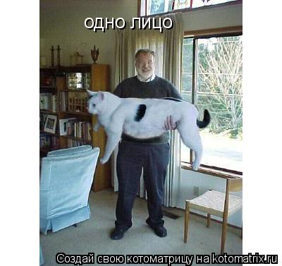 Котоматрица: одно лицо