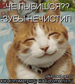 -ЧЕ ЛЫБИШСЯ?? -ЗУБЫ НЕЧИСТИЛ... Котоматрица: -ЧЕ ЛЫБИШСЯ?? -ЗУБЫ НЕЧИСТИЛ