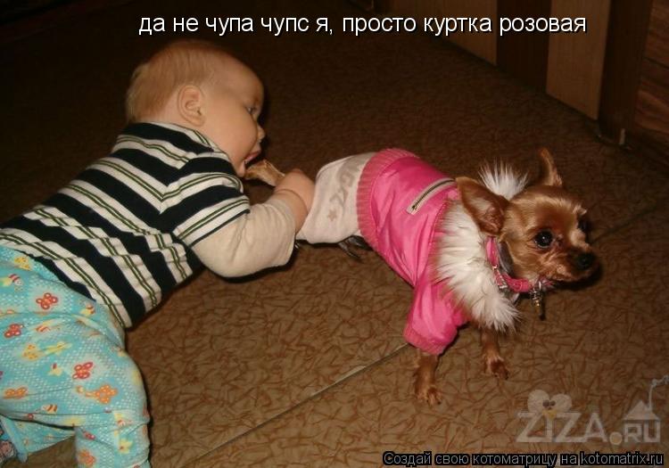 да не чупа чупс я, просто куртка розовая... Котоматрица: да не чупа чупс я, просто куртка розовая
