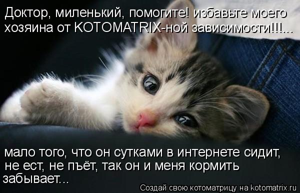 Котоматрица: Доктор, миленький, помогите! избавьте моего  хозяина от KOTOMATRIX-ной зависимости!!!... мало того, что он сутками в интернете сидит,  не ест, не пъёт