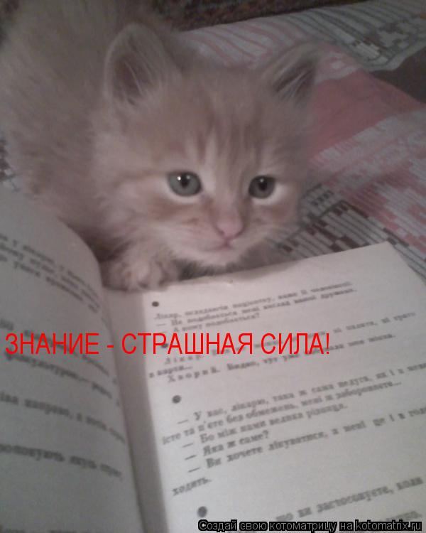 ЗНАНИЕ - СТРАШНАЯ СИЛА!... Котоматрица: ЗНАНИЕ - СТРАШНАЯ СИЛА!
