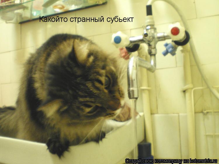Котоматрица: Какойто странный субьект
