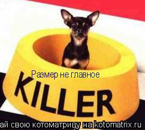 Котоматрица: Размер не главное