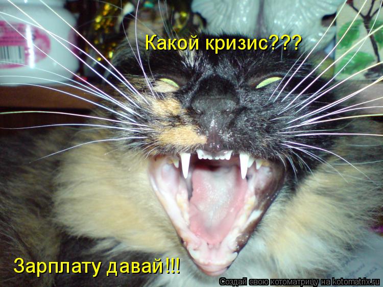 Зарплату давай!!! Какой кризис???... Котоматрица: Зарплату давай!!! Какой кризис???