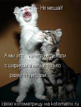 Не мешай! А мы это... ничего не делали с шариком в мячик только разве что играли...... Котоматрица: Не мешай! А мы это... ничего не делали с шариком в мячик только разве что играли...