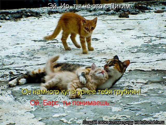 Эй, Ир, ты чё это с Диким... Он намного культурнее тебя грубиян! Ой, Барс, ты понимаешь...... Котоматрица: Эй, Ир, ты чё это с Диким... Он намного культурнее тебя грубиян! Ой, Барс, ты понимаешь...