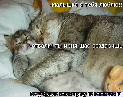 -Малышка я тебя люблю!!! -отвали! ты меня щас роздавишь!... Котоматрица: -Малышка я тебя люблю!!! -отвали! ты меня щас роздавишь!