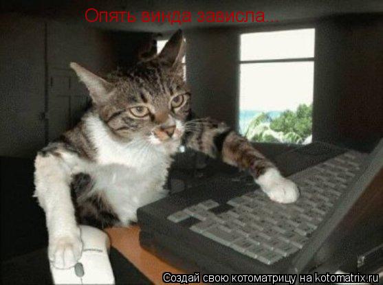 Котоматрица: Опять винда зависла...