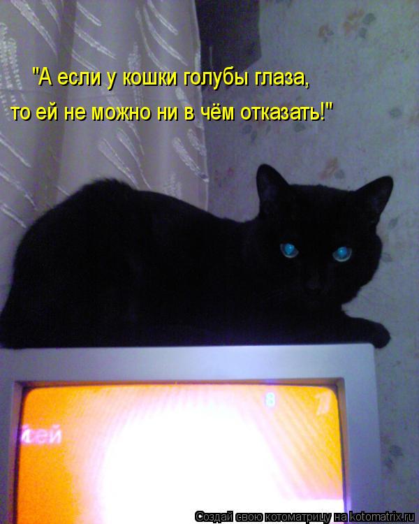 "А если у кошки голубы глаза, то ей не можно ни в чём отказать!"... Котоматрица: "А если у кошки голубы глаза, то ей не можно ни в чём отказать!"