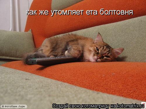Котоматрица: как же утомляет ета болтовня