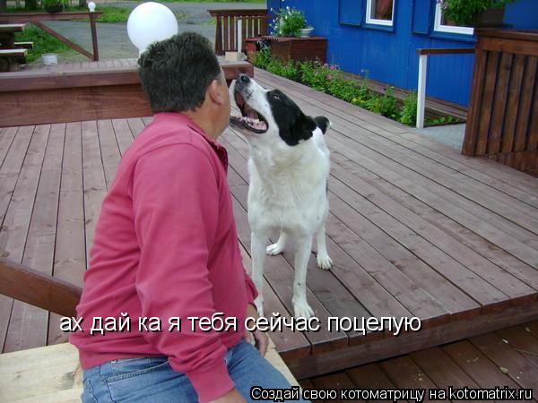 ах дай ка я тебя сейчас поцелую... Котоматрица: ах дай ка я тебя сейчас поцелую