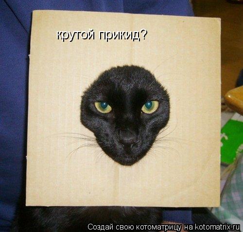 Котоматрица: крутой прикид?