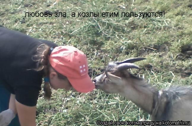 любовь зла, а козлы етим пользуются!... Котоматрица: любовь зла, а козлы етим пользуются!