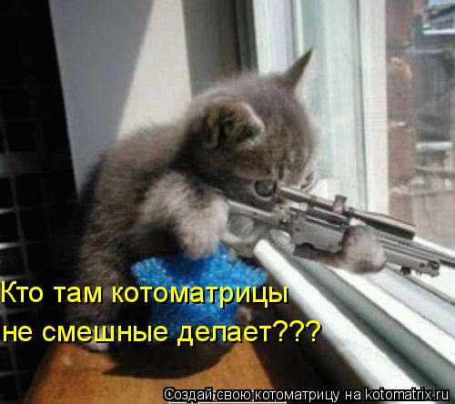 Котоматрица: Кто там котоматрицы не смешные делает???