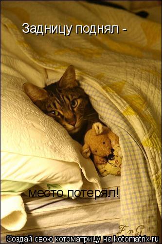 Котоматрица: Задницу поднял - место потерял!