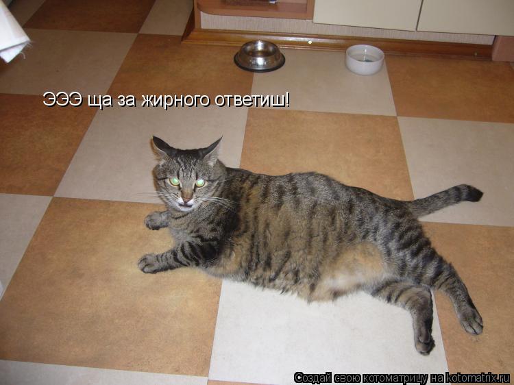 Котоматрица: ЭЭЭ ща за жирного ответиш!