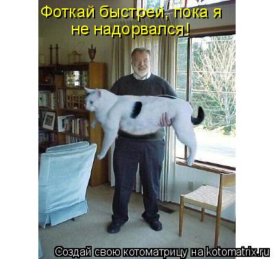 Фоткай быстрей, пока я не надорвался!... Котоматрица: Фоткай быстрей, пока я не надорвался!