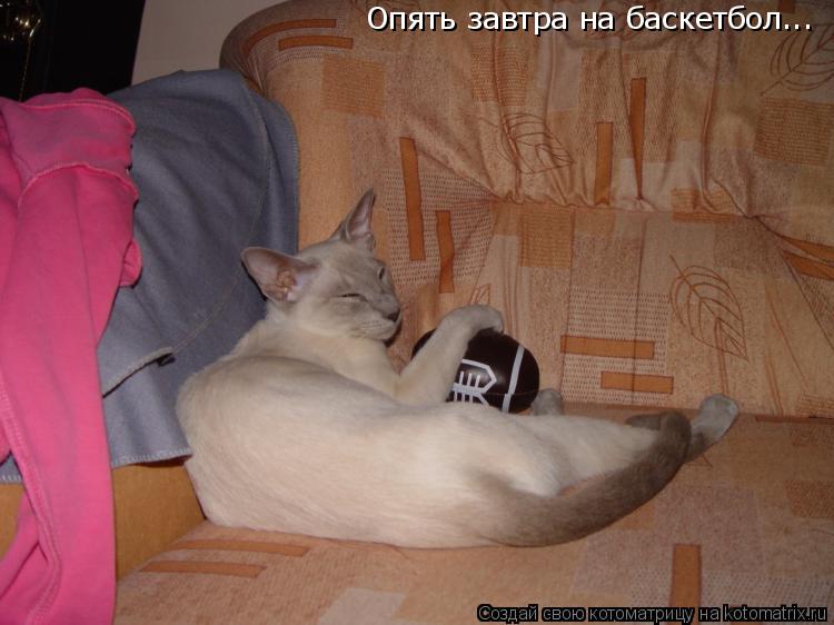 Опять завтра на баскетбол...... Котоматрица: Опять завтра на баскетбол...