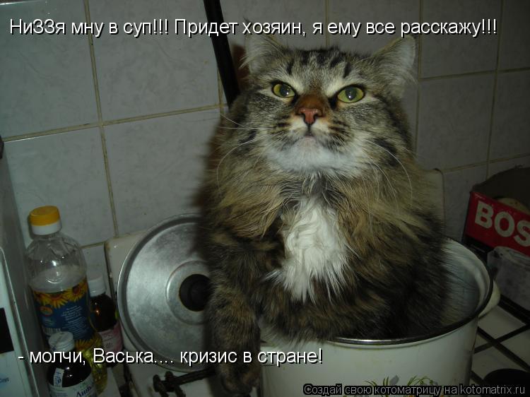 НиЗЗя мну в суп!!! Придет хозяин, я ему все расскажу!!! - молчи, Васька.... кризис в стране!... Котоматрица: НиЗЗя мну в суп!!! Придет хозяин, я ему все расскажу!!! - молчи, Васька.... кризис в стране!