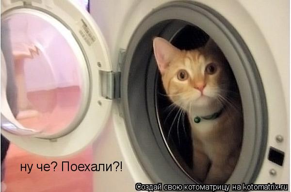 ну че? Поехали?!... Котоматрица: ну че? Поехали?!