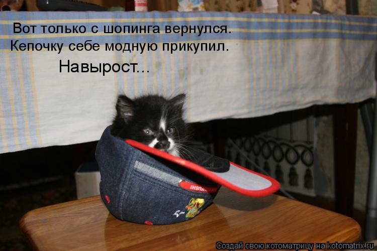 Вот только с шопинга вернулся. Кепочку себе модную прикупил. Навырост...... Котоматрица: Вот только с шопинга вернулся. Кепочку себе модную прикупил. Навырост...