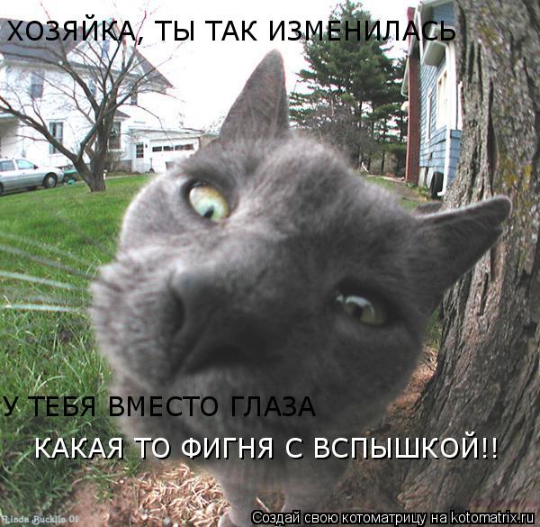 Котоматрица: ХОЗЯЙКА, ТЫ ТАК ИЗМЕНИЛАСЬ У ТЕБЯ ВМЕСТО ГЛАЗА КАКАЯ ТО ФИГНЯ С ВСПЫШКОЙ!!
