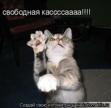 Котоматрица: свободная кассссаааа!!!!