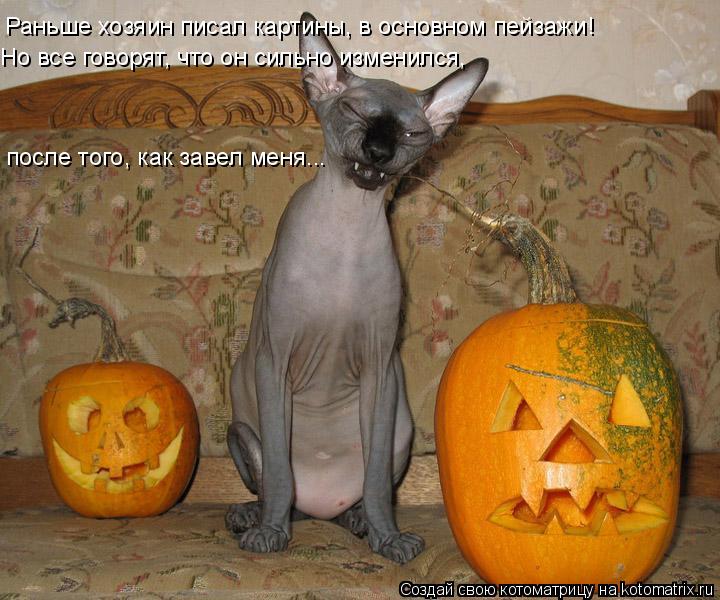 Котоматрица: Раньше хозяин писал картины, в основном пейзажи! Но все говорят, что он сильно изменился, после того, как завел меня...