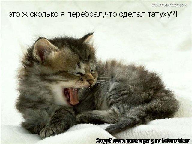 Котоматрица: это ж сколько я перебрал,что сделал татуху?!